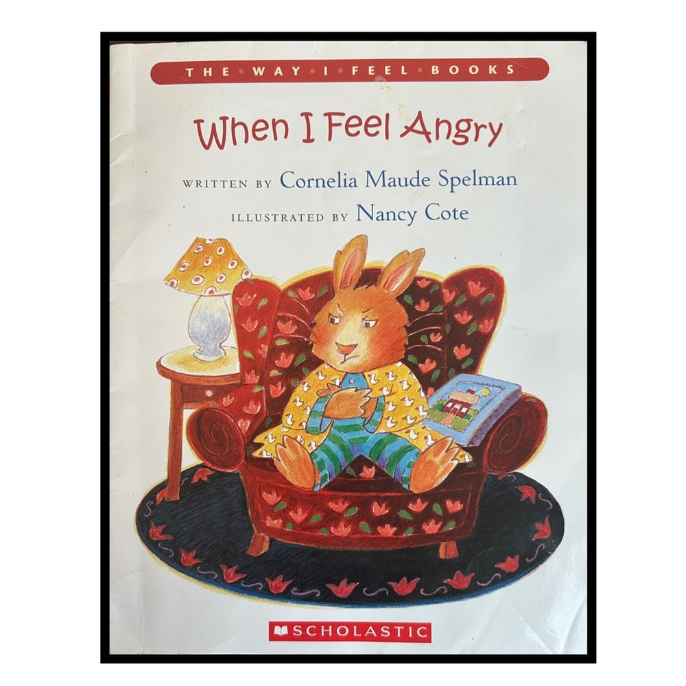 When I Feel Angry: The Way I Feel Books by Cornelia Maude Spelman